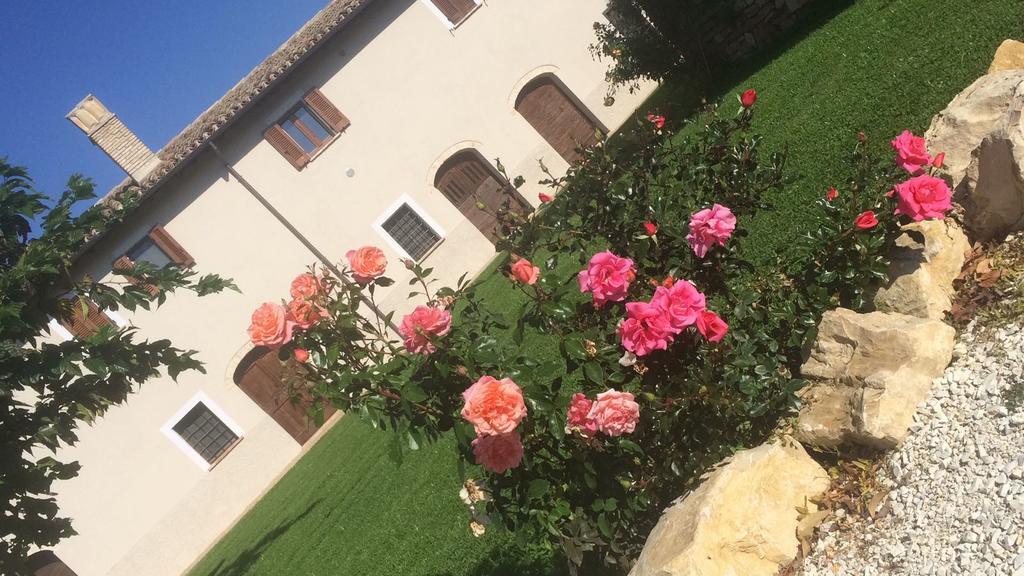 ספלו Podere Le Volte Degli Angeli מראה חיצוני תמונה